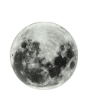 #8